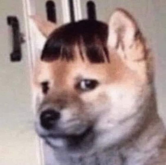 Khóa học Modern Robotics miễn phí! image